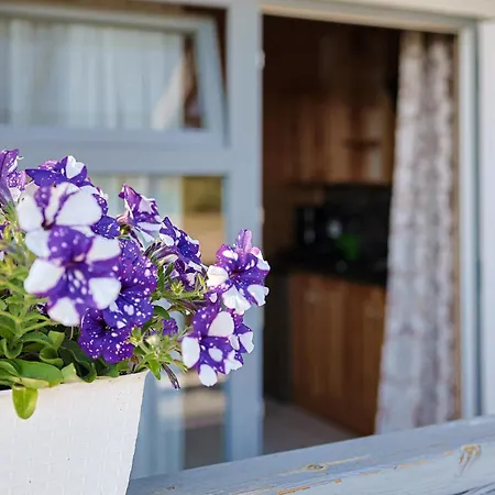 Aurora Ustka-przewloka 아파트호텔 3*